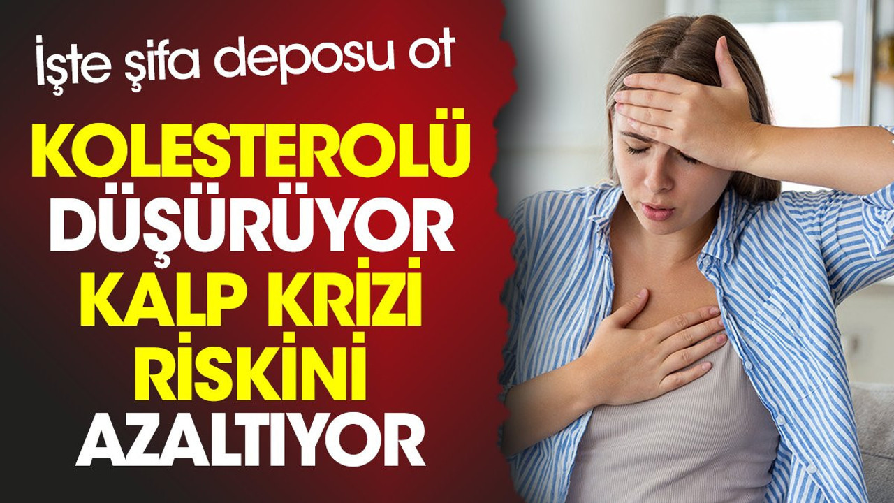 Kolesterolü düşürüyor. Kalp krizi riskini azaltıyor. İşte şifa deposu ot