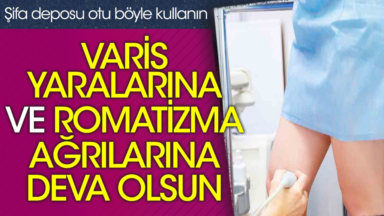 Şifa deposu otu böyle kullanın varis yaralarına ve romatizma ağrılarına deva olsun