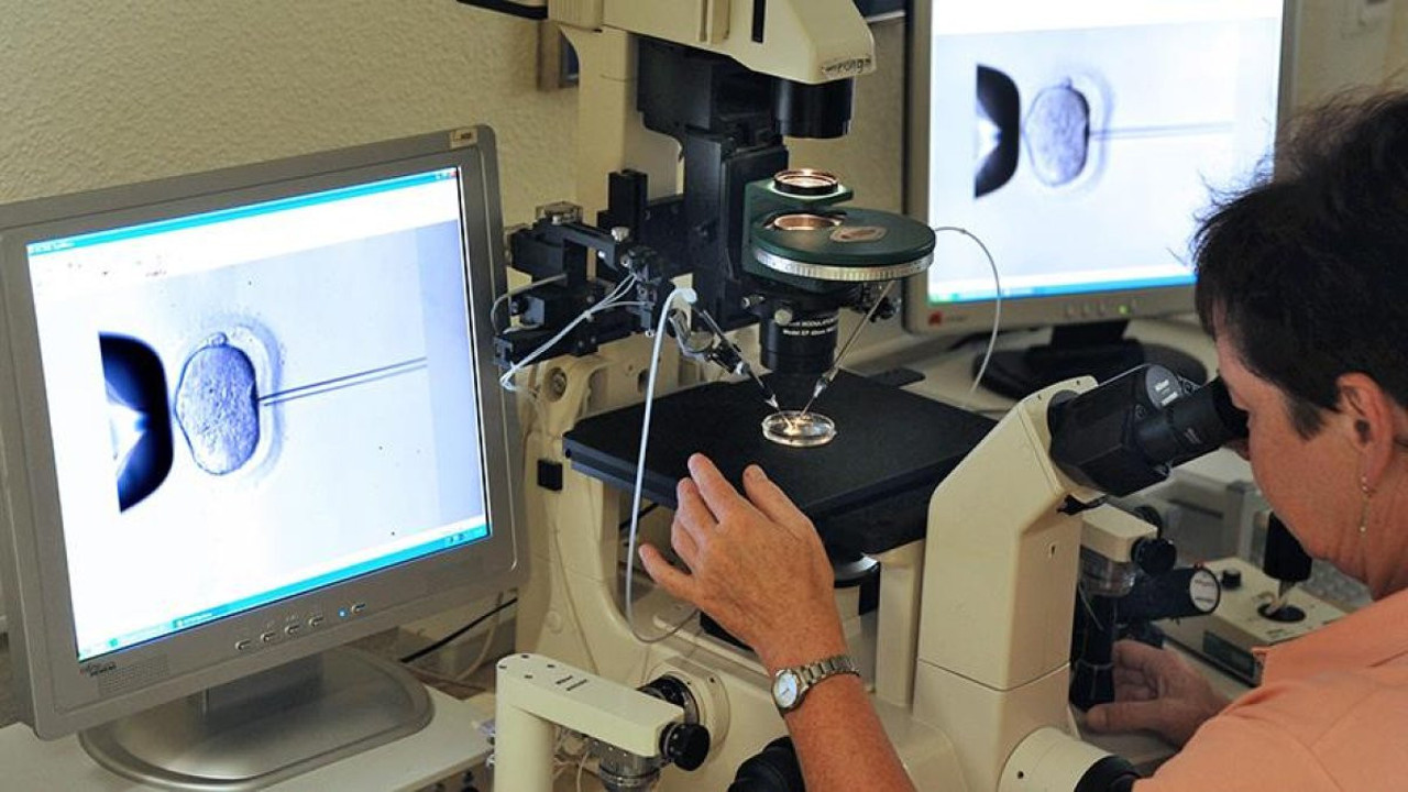 İşte üremeye engel vitamin eksikliği