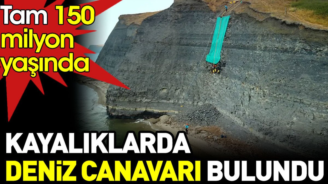 Kayalıklarda deniz canavarı bulundu. Tam 150 milyon yaşında