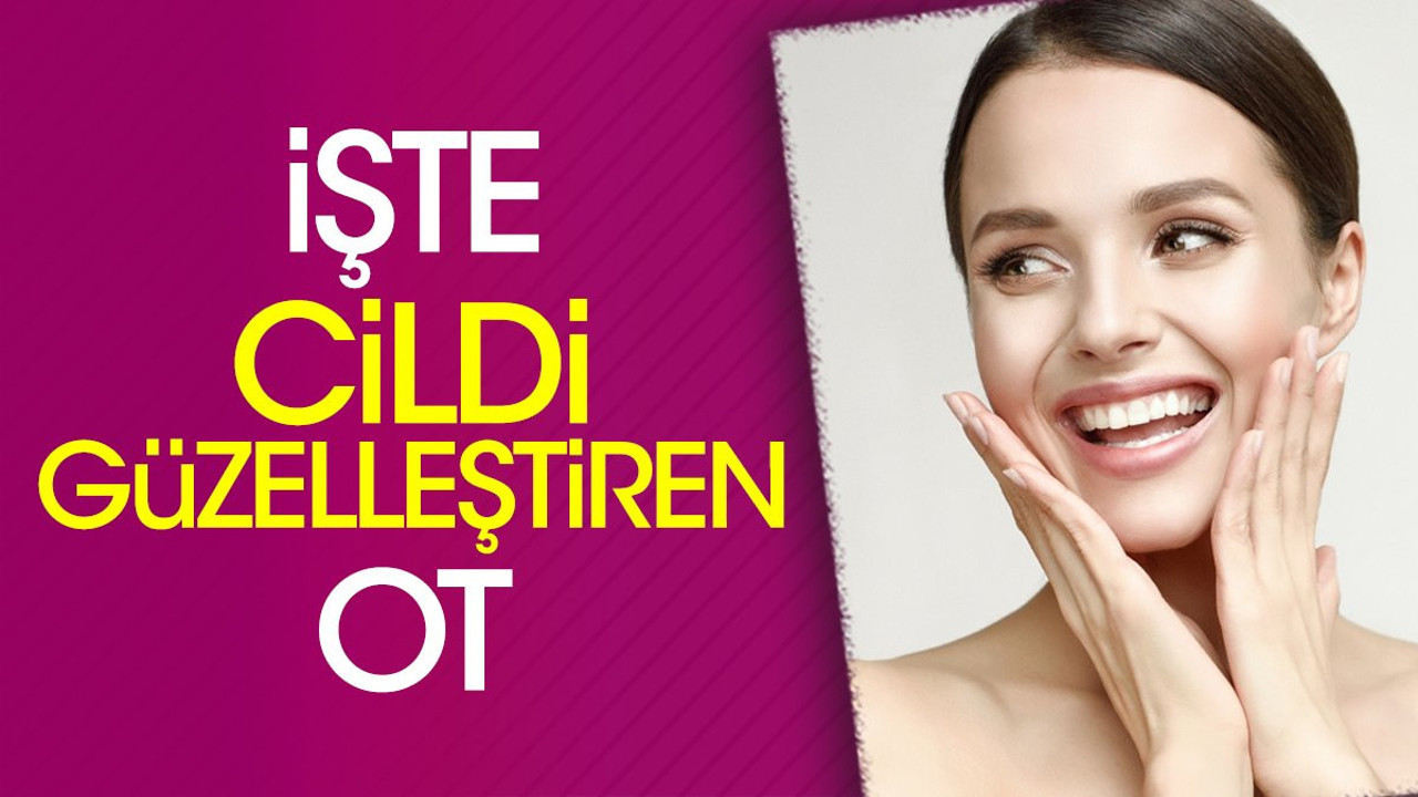 İşte cildi güzelleştiren ot