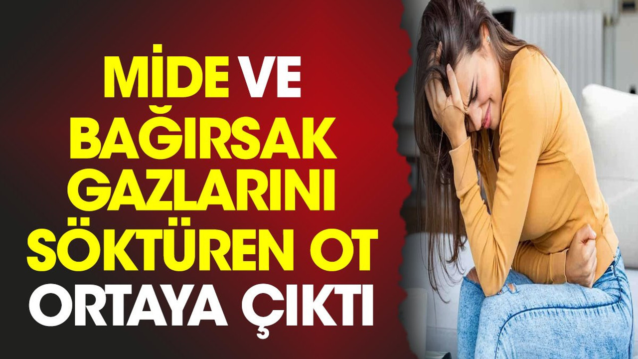 Mide ve bağırsak gazlarını söktüren ot ortaya çıktı