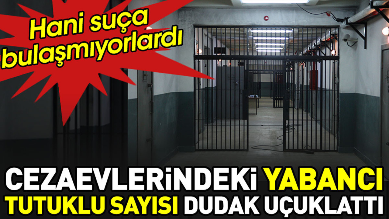 Cezaevlerindeki yabancı tutuklu sayısı dudak uçuklattı