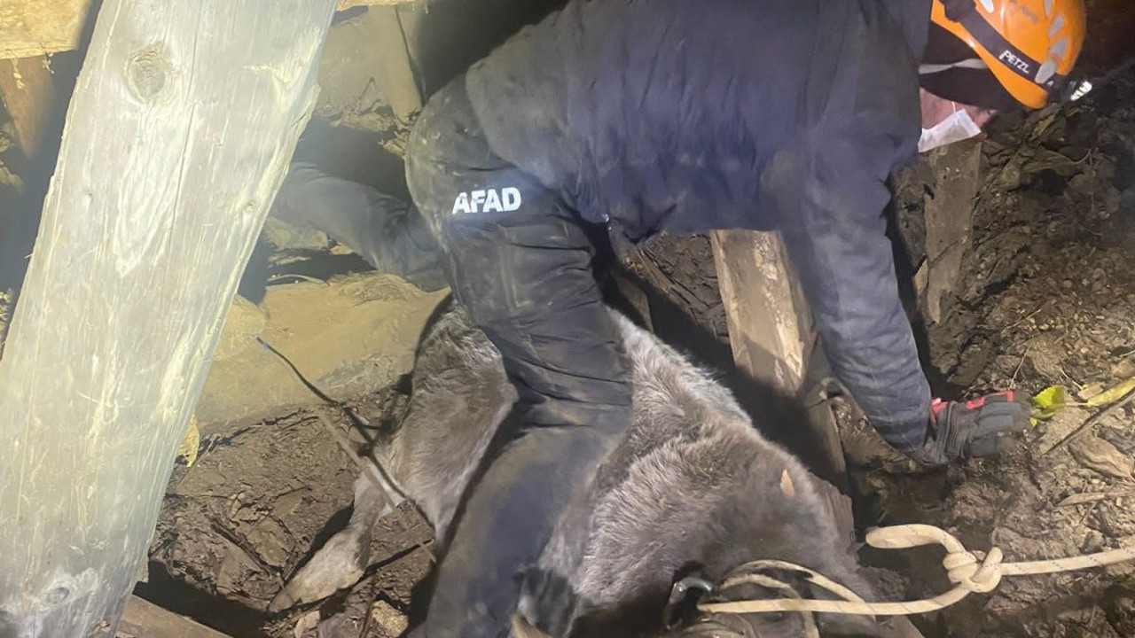 Artvin’de heyelan (14 Aralık 2023)