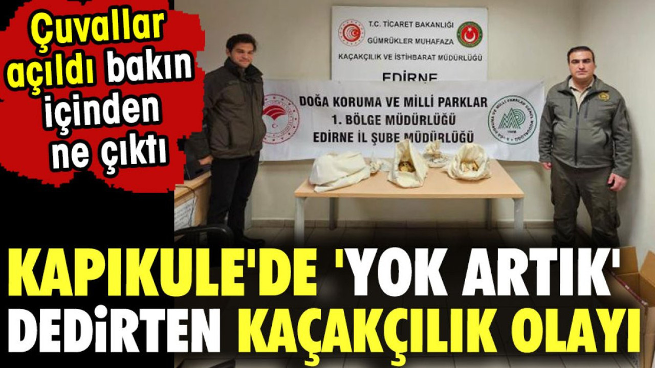 Kapıkule'de 'yok artık' dedirten kaçakçılık olayı. Çuvallara açıldı bakın içinden ne çıktı ?