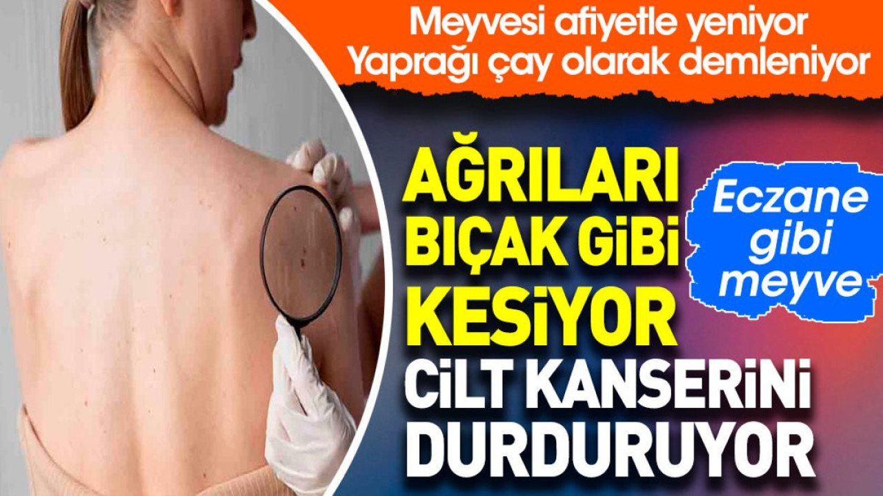 Ağrıları bıçak gibi kesiyor. Cilt kanserini durduruyor. Eczane gibi meyve. Meyvesi afiyetle yeniyor. Yaprağı çay olarak demleniyor