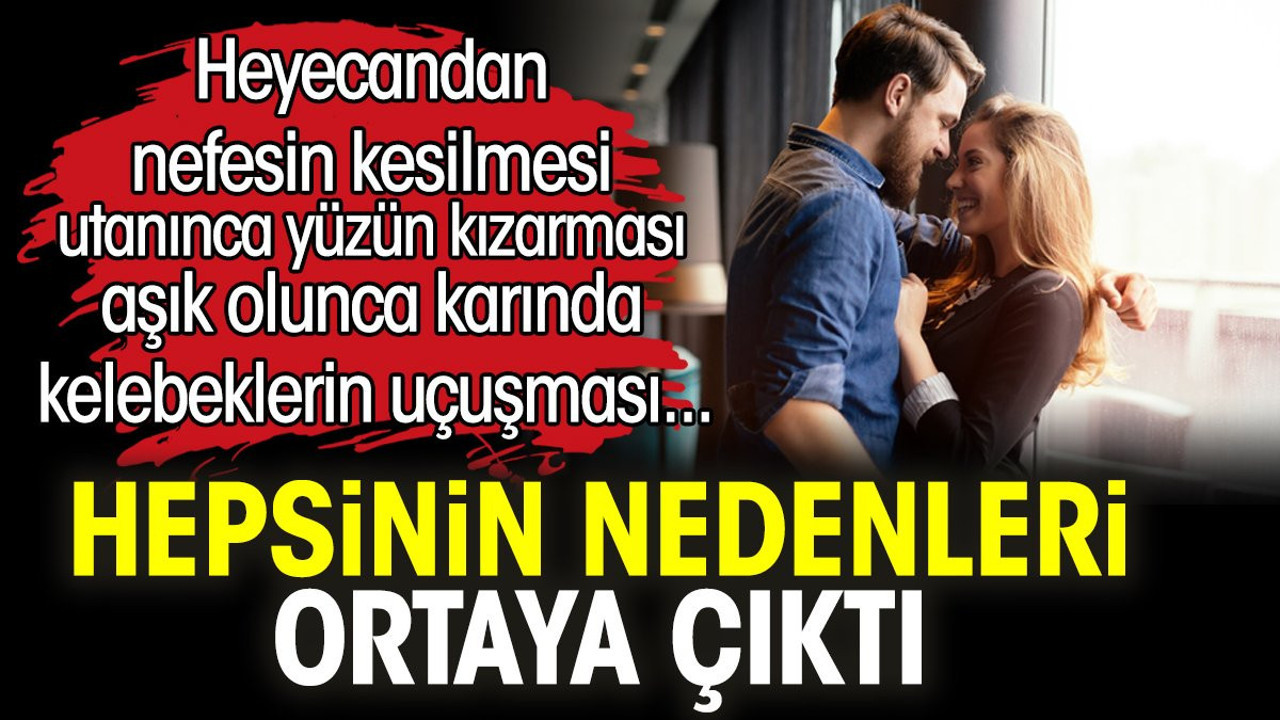 Heyecandan nefesin kesilmesi utanınca yüzün kızarması aşık olunca karında kelebeklerin uçuşmasının nedenleri ortaya çıktı