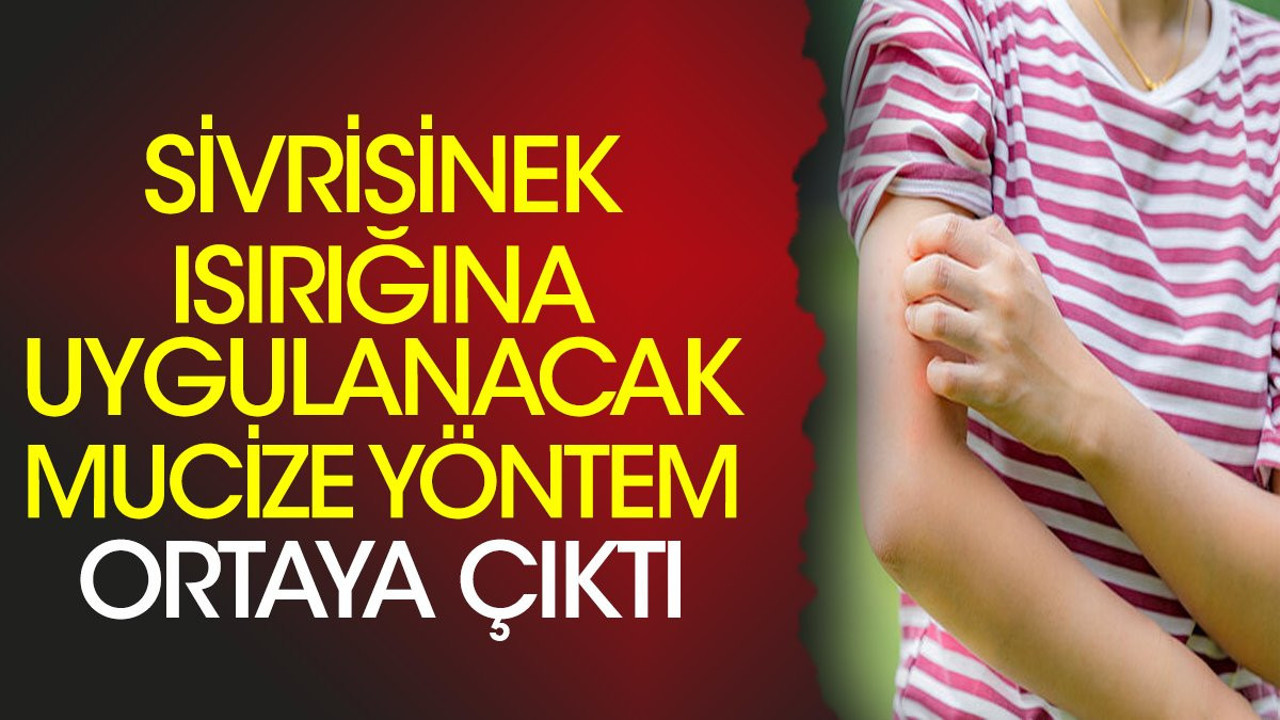 Sivrisinek ısırığına uygulanacak mucize yöntem ortaya çıktı