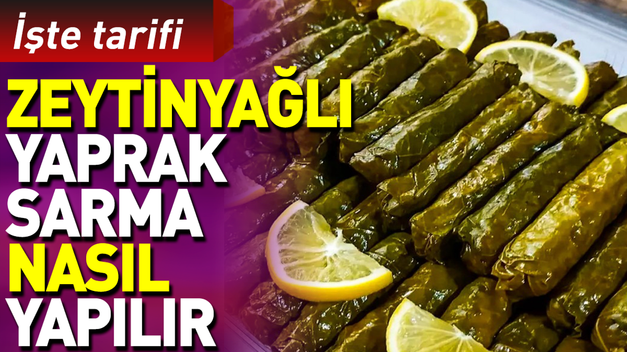 Zeytinyağlı yaprak sarma nasıl yapılır?