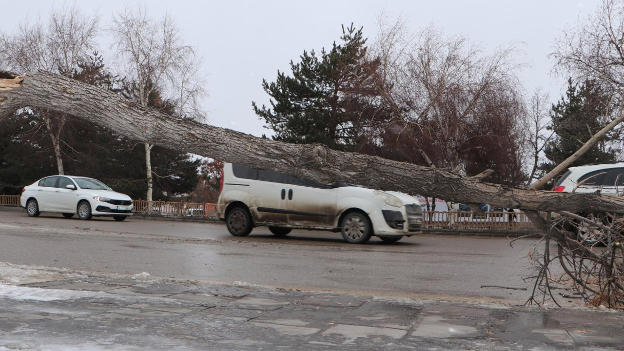 Erzurum'u fırtına vurdu! Çatılar uçtu, ağaçlar devrildi