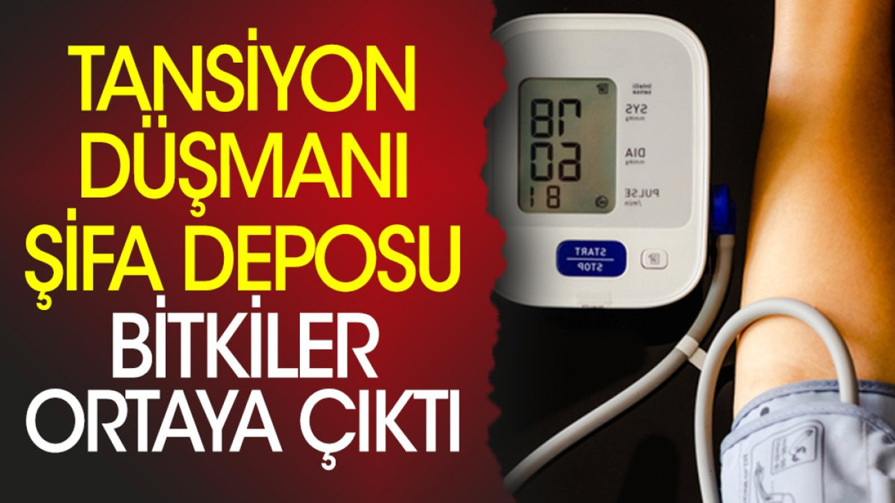 Tansiyon düşmanı şifa deposu bitkiler ortaya çıktı