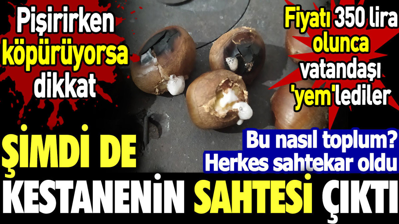 Şimdi de sahte kestane çıktı. Çin kestanesi diye satıyorlar. Sahte kestaneyi nasıl tanıyacaksınız?