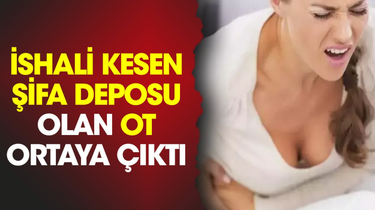 İshali kesen şifa deposu olan ot ortaya çıktı