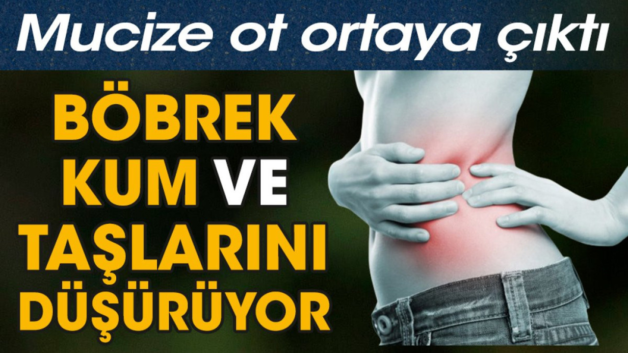 Böbrek kum ve taşlarını düşürüyor. Mucize ot ortaya çıktı