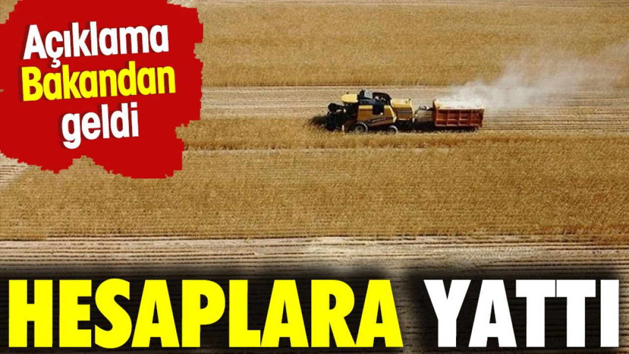 Açıklama Tarım Bakanı İbrahim Yumaklı'dan geldi. Hesaplara yattı