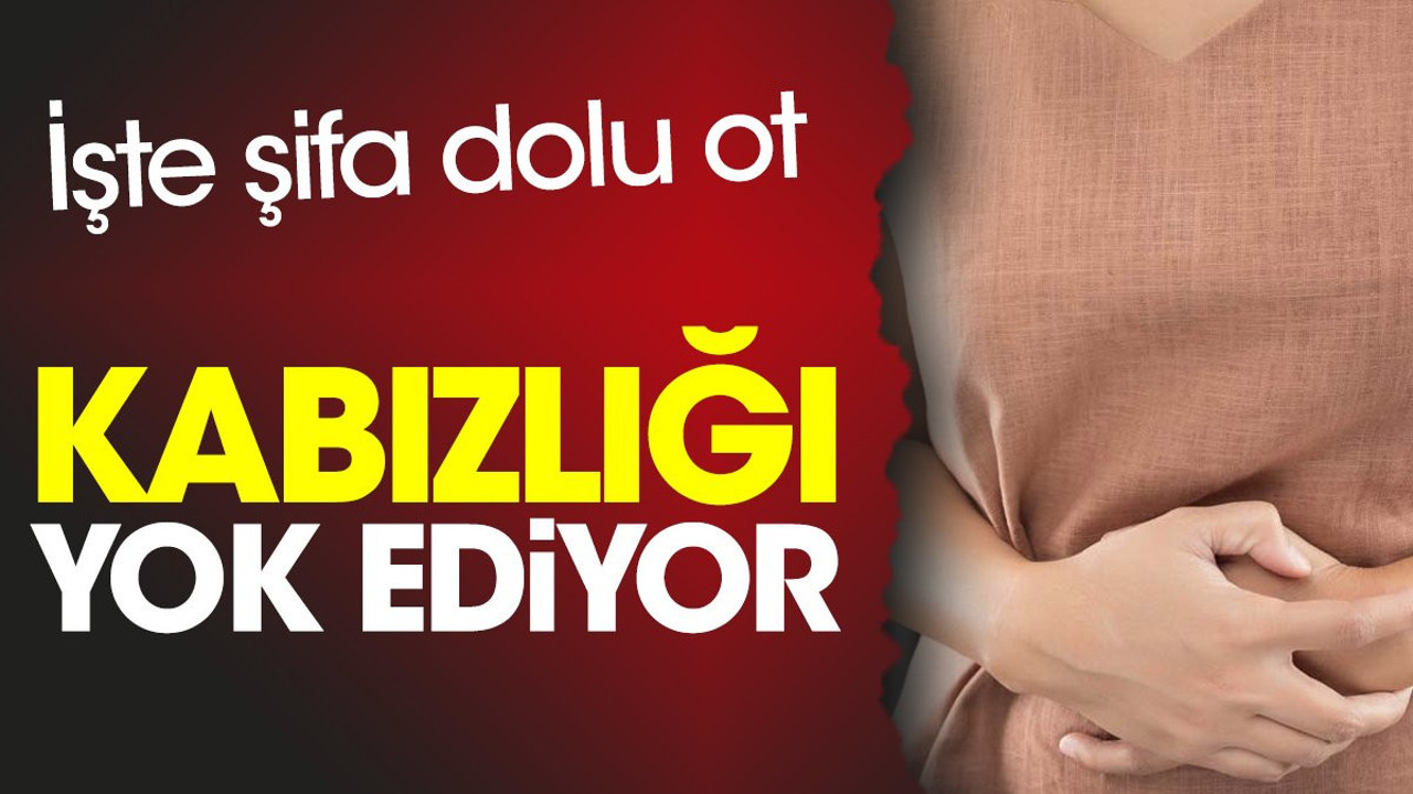 Kabızlığı yok ediyor. İşte dikkat çeken o ot