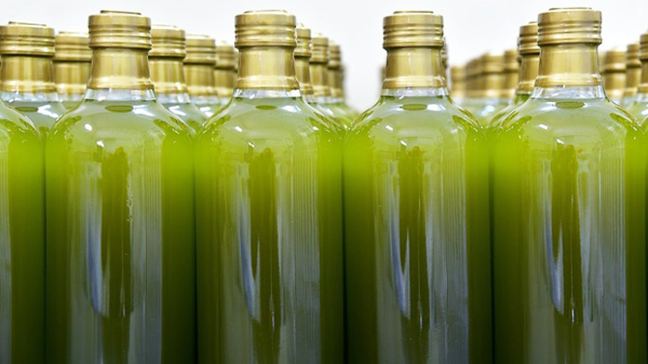 Mucize doğa iksiri Zeytin sütü nasıl üretilir