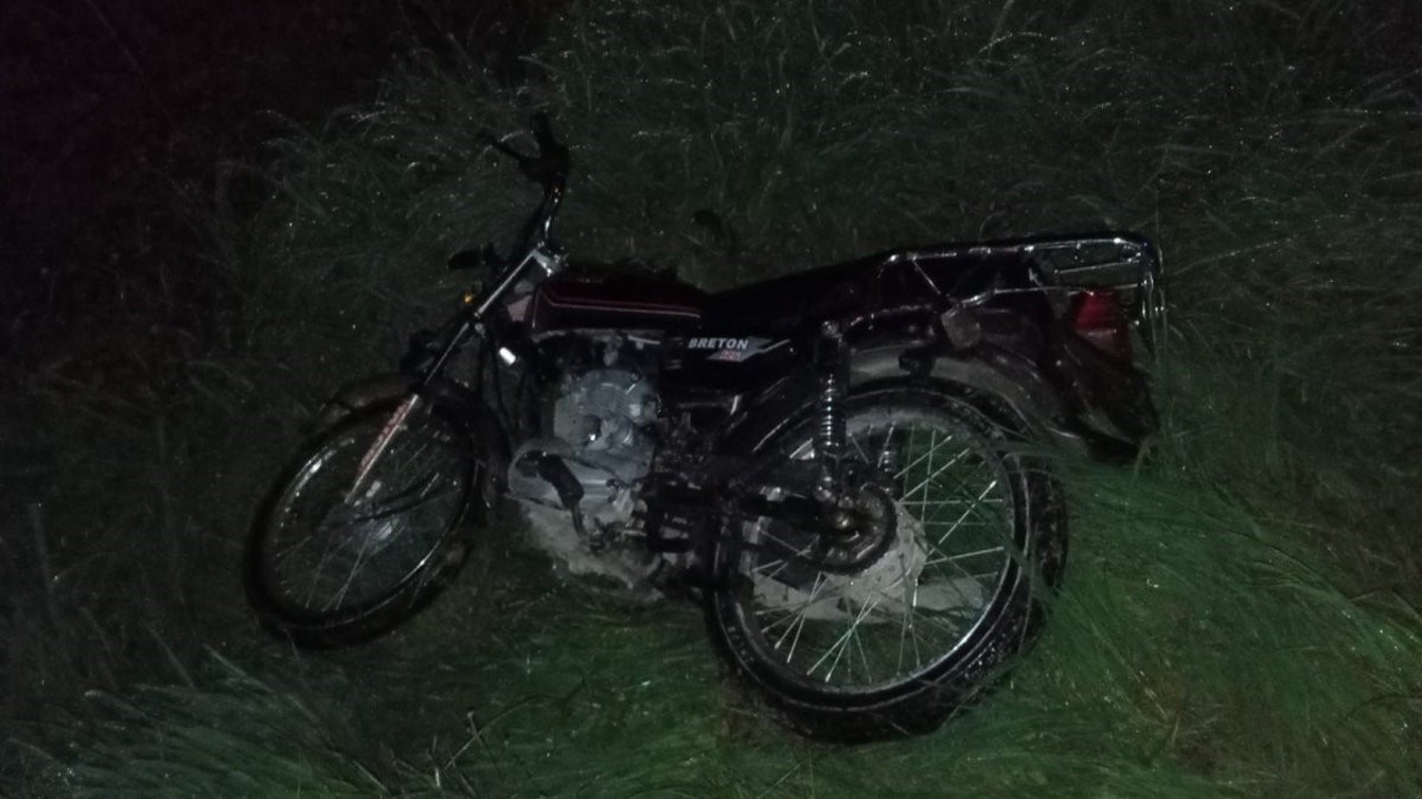 Domuz sürüleri trafiği tehlikeye sokuyor