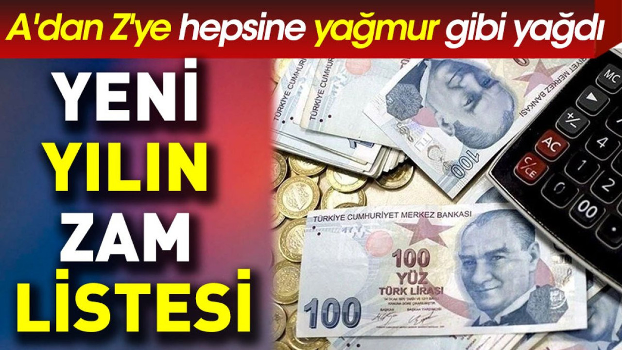 Yeni yılın zam listesi. A'dan Z'ye hepsine yağmur gibi yağdı