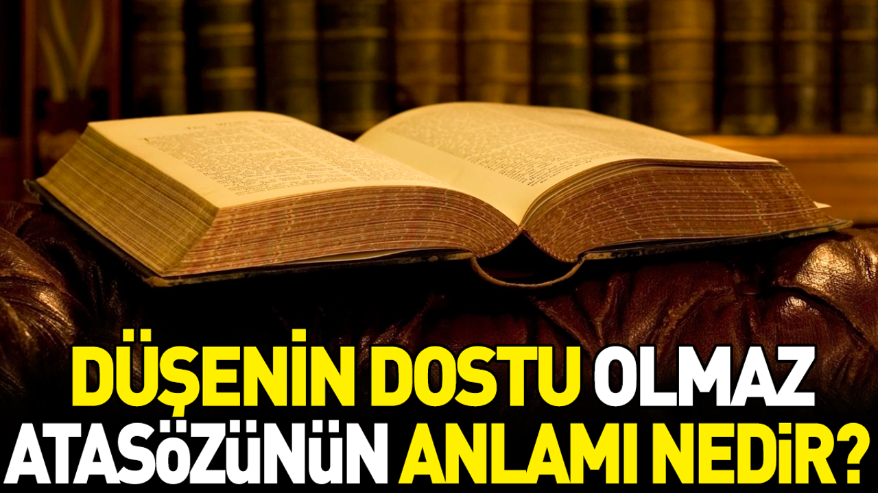Düşenin dostu olmaz atasözünün anlamı nedir?