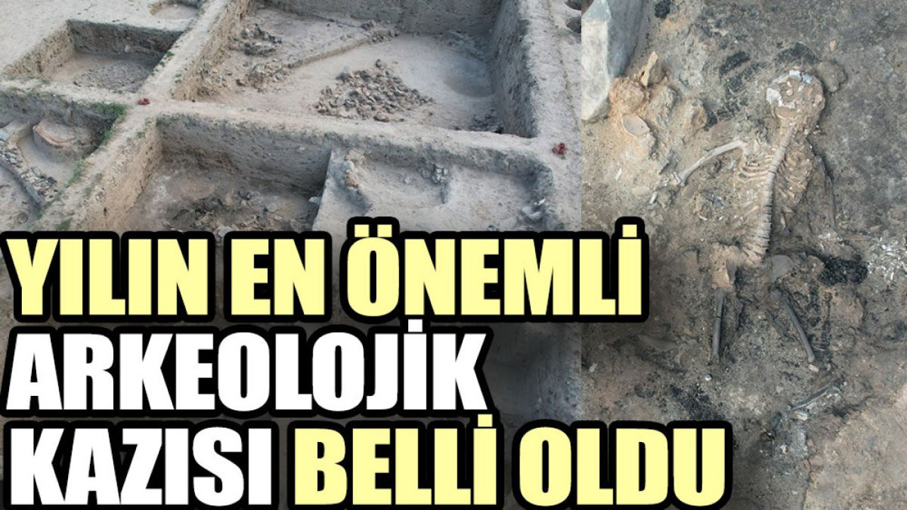 Yılın en önemli arkeolojik kazısı belli oldu