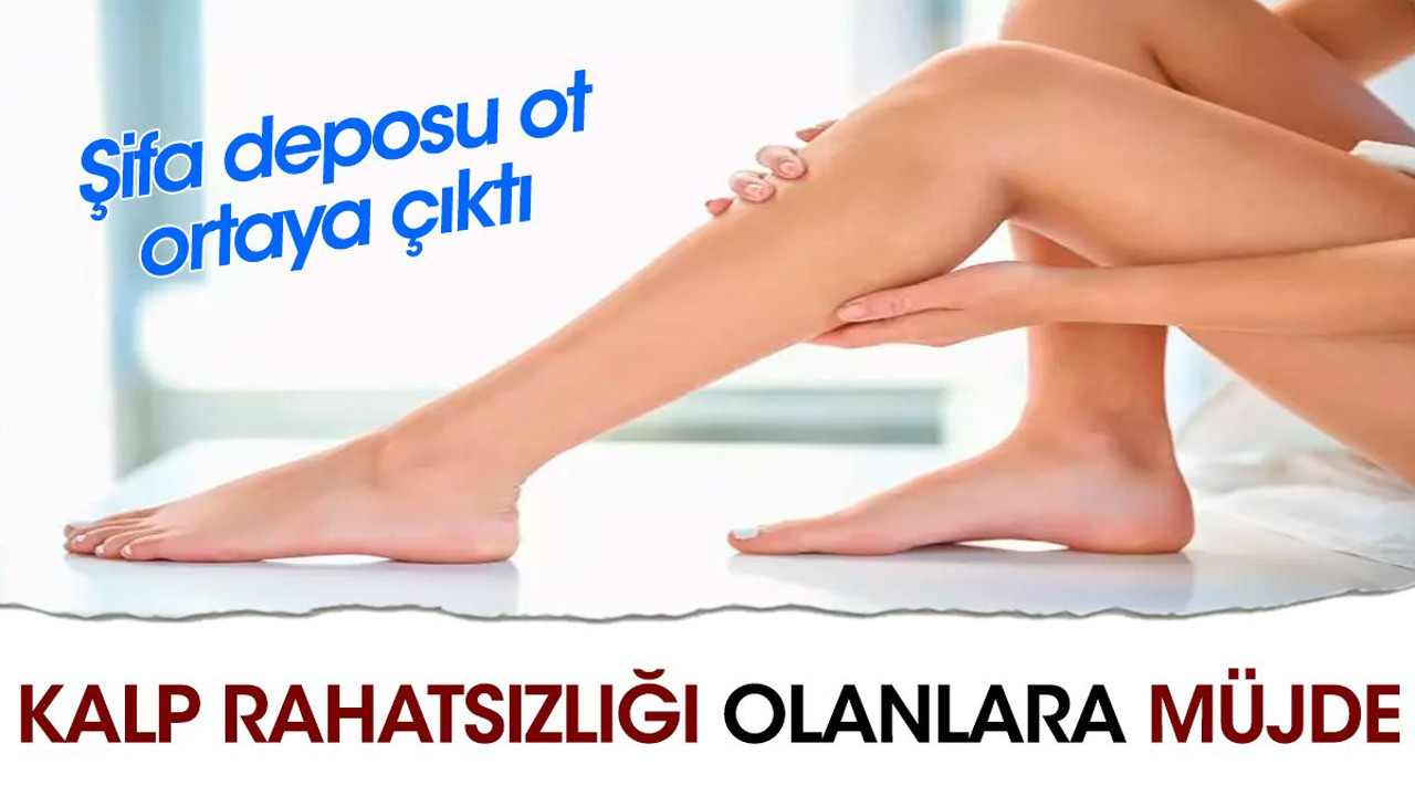 Kalp rahatsızlığı olanlara müjde. Şifa deposu ot ortaya çıktı