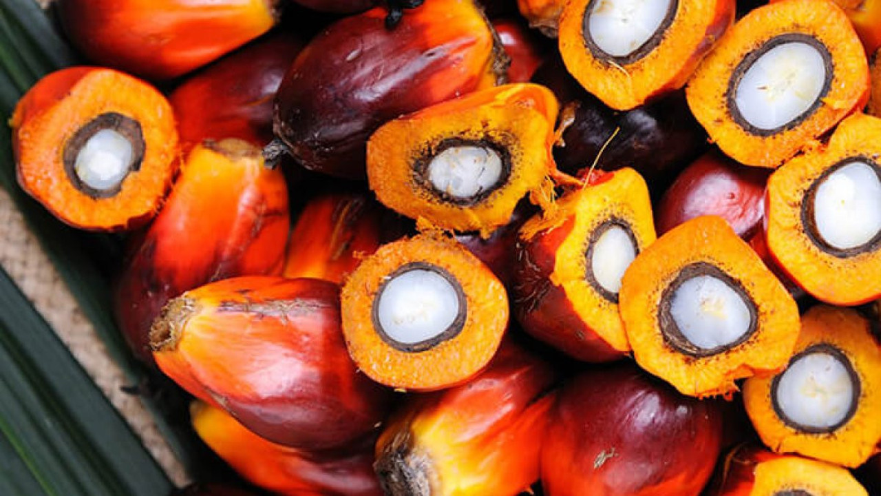 Dikkat bu meyvenin yağı çok zararlı