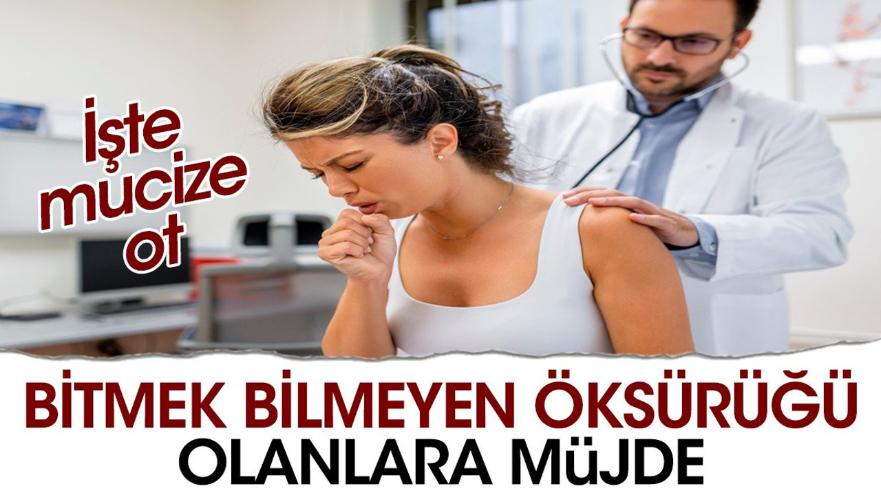Bitmek bilmeyen öksürüğü olanlara müjde. İşte mucize ot