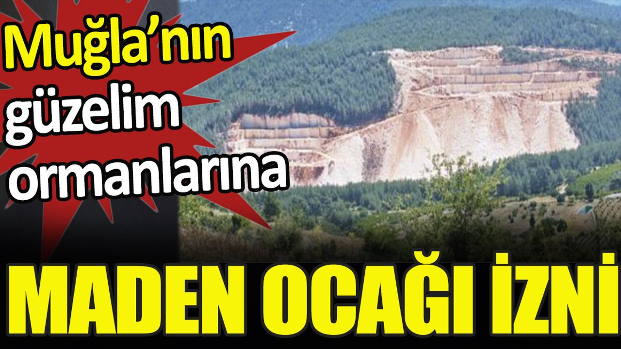 Fethiye’nin güzelim ormanlarına mermer ocağı izni
