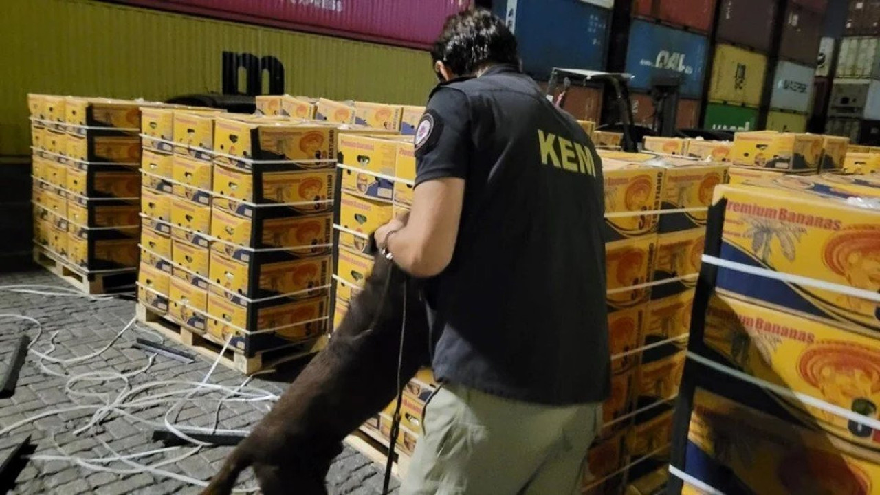 Muz dolu konteynerde 77 kilo kokain çıktı. Adres yine aynı