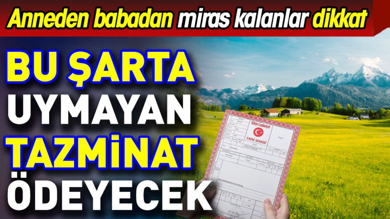 Anne babadan miras kalanlar dikkat. Bu şarta uymayan ceza ödeyecek