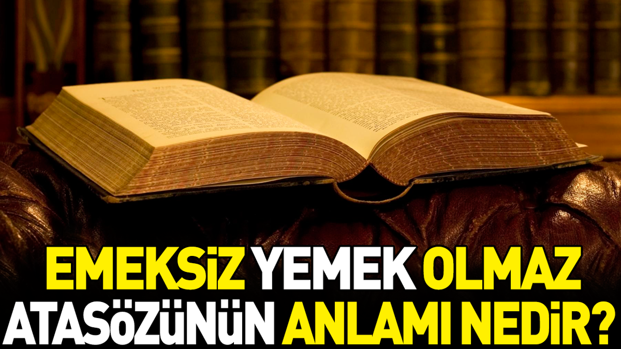 Emeksiz yemek olmaz atasözünün anlamı nedir?