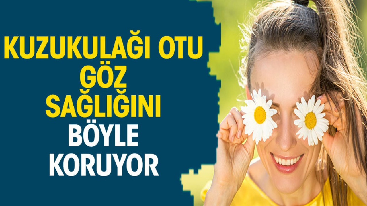 Kuzukulağı otu göz sağlığını böyle koruyor