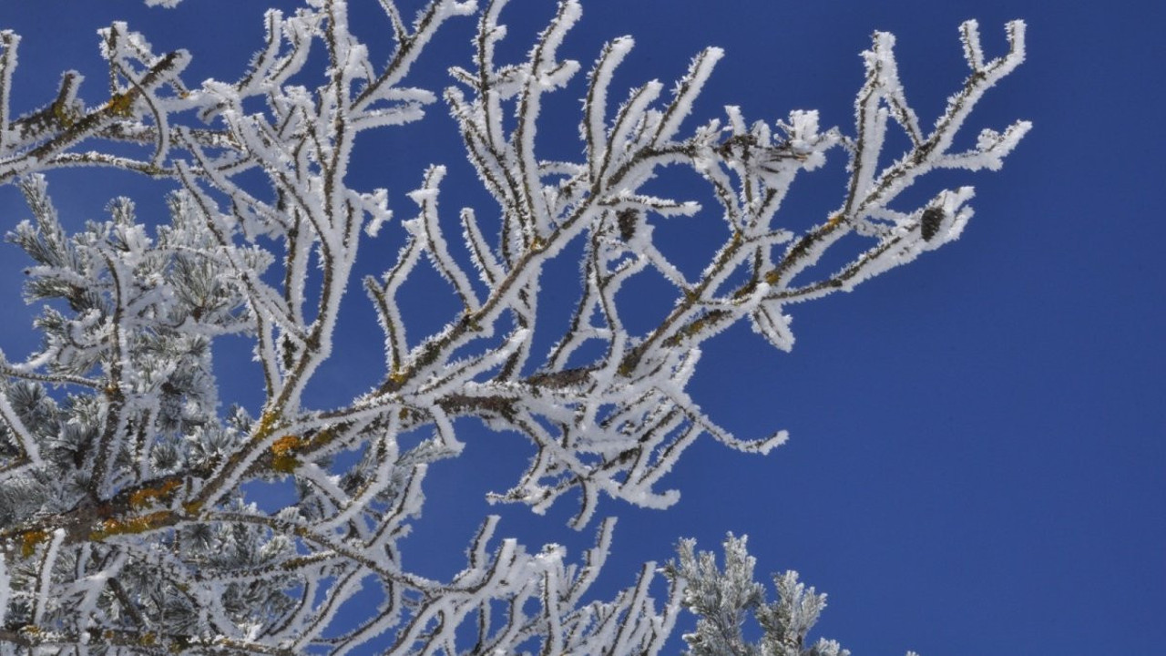 Türkiye’nin en soğuk ili belli oldu