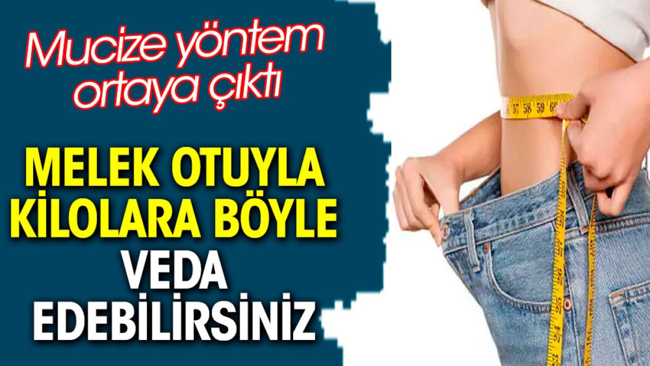 Melek otuyla kilolara böyle veda edebilirsiniz. Mucize yöntem ortaya çıktı