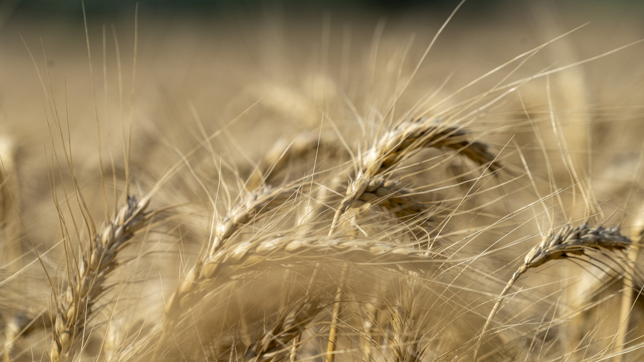 Doruk Un yeni yatırımlarla büyümesini sürdürecek