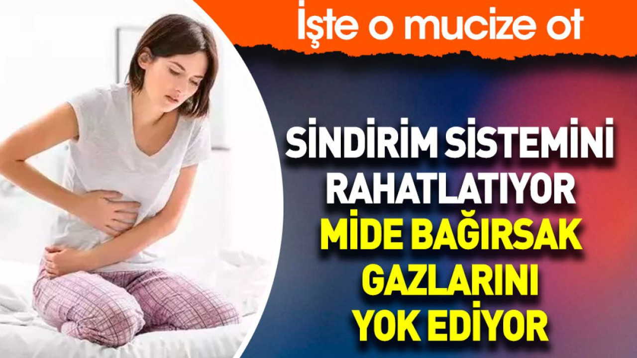 Sindirim sistemini rahatlatıyor. Mide bağırsak gazlarını yok ediyor. İşte o mucize ot