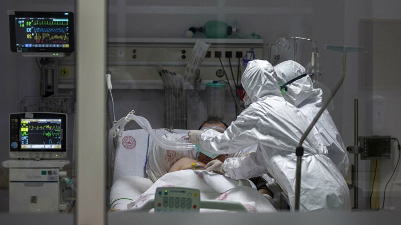 Gizemli bakteri alarmı: Laboratuvar testlerinde tanımlanamadı