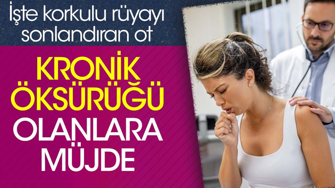 Kronik öksürüğü olanlara müjde. İşte korkulu rüyayı sonlandıran ot
