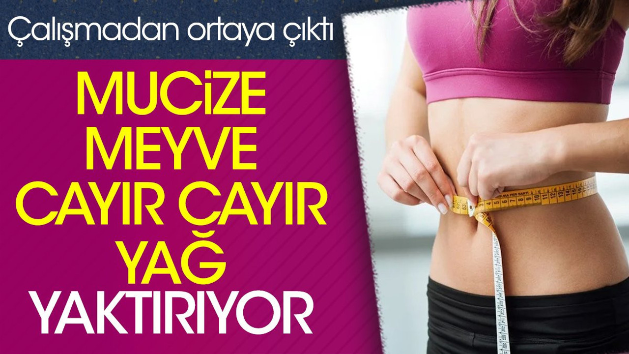 Mucize meyve cayır cayır yağ yaktırıyor. Çalışmadan ortaya çıktı