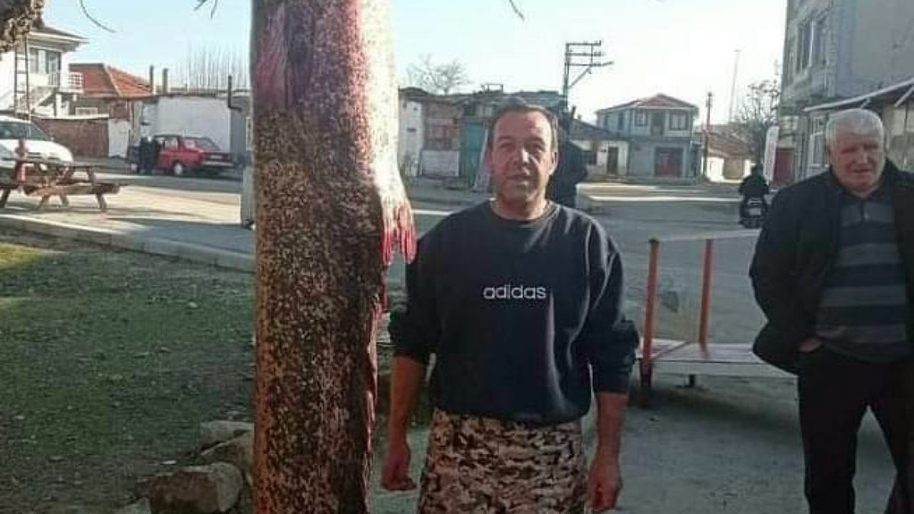 Meriç nehrinden ‘balina’ çıktı