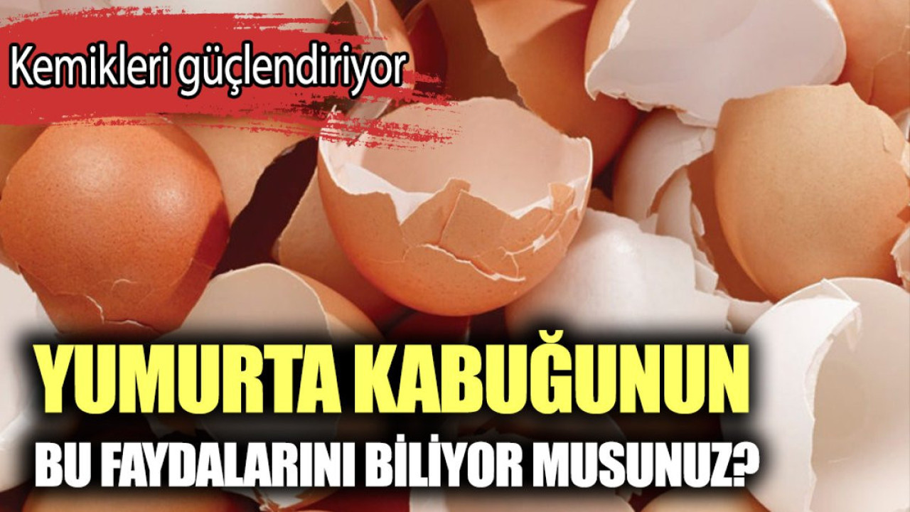 Yumurta kabuğunun faydaları neler? Yumurta kabuğu nasıl ne işe yarar?