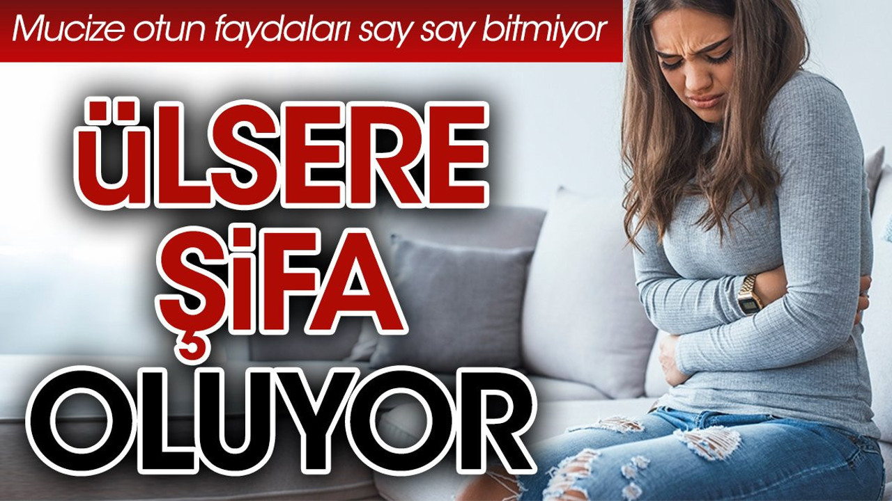 Ülsere şifa oluyor. Mucize otun faydaları say say bitmiyor
