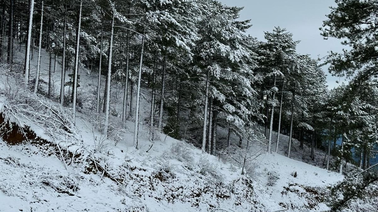 Gazipaşa kar yağışı ile beyaza büründü