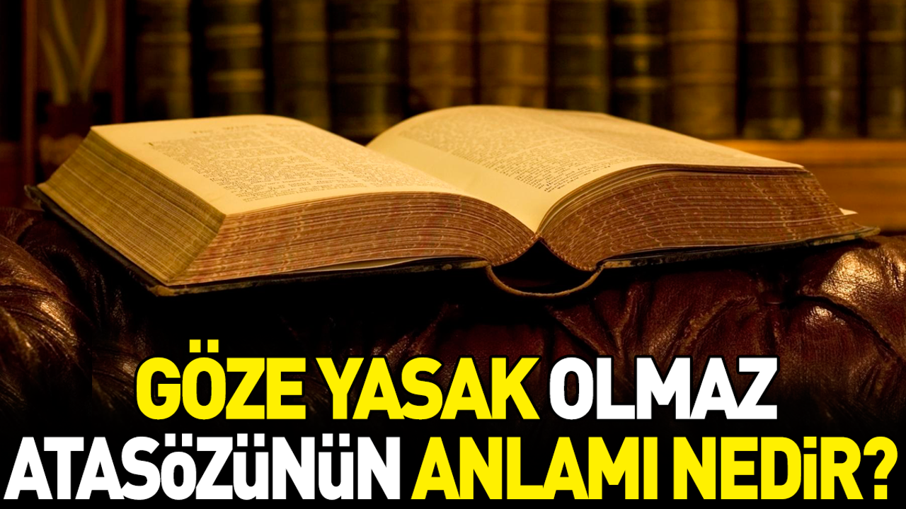 Göze yasak olmaz atasözünün anlamı nedir?