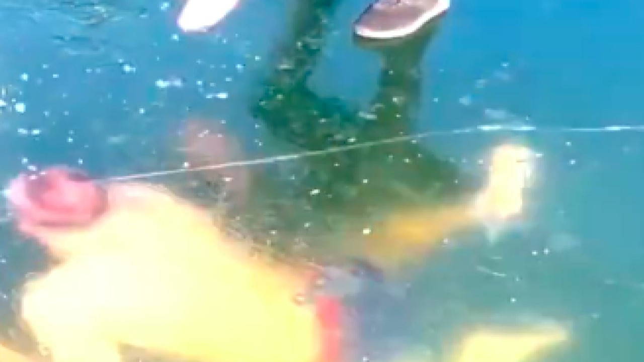 Buzun Altında Mahsur Kalan Yüzücü, Boğulmaktan Kıl Payı Kurtuldu