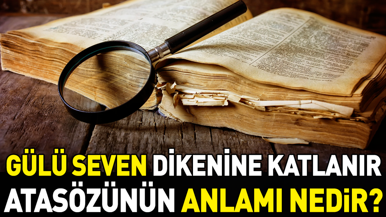 Gülü seven dikenine katlanır atasözünün anlamı nedir?