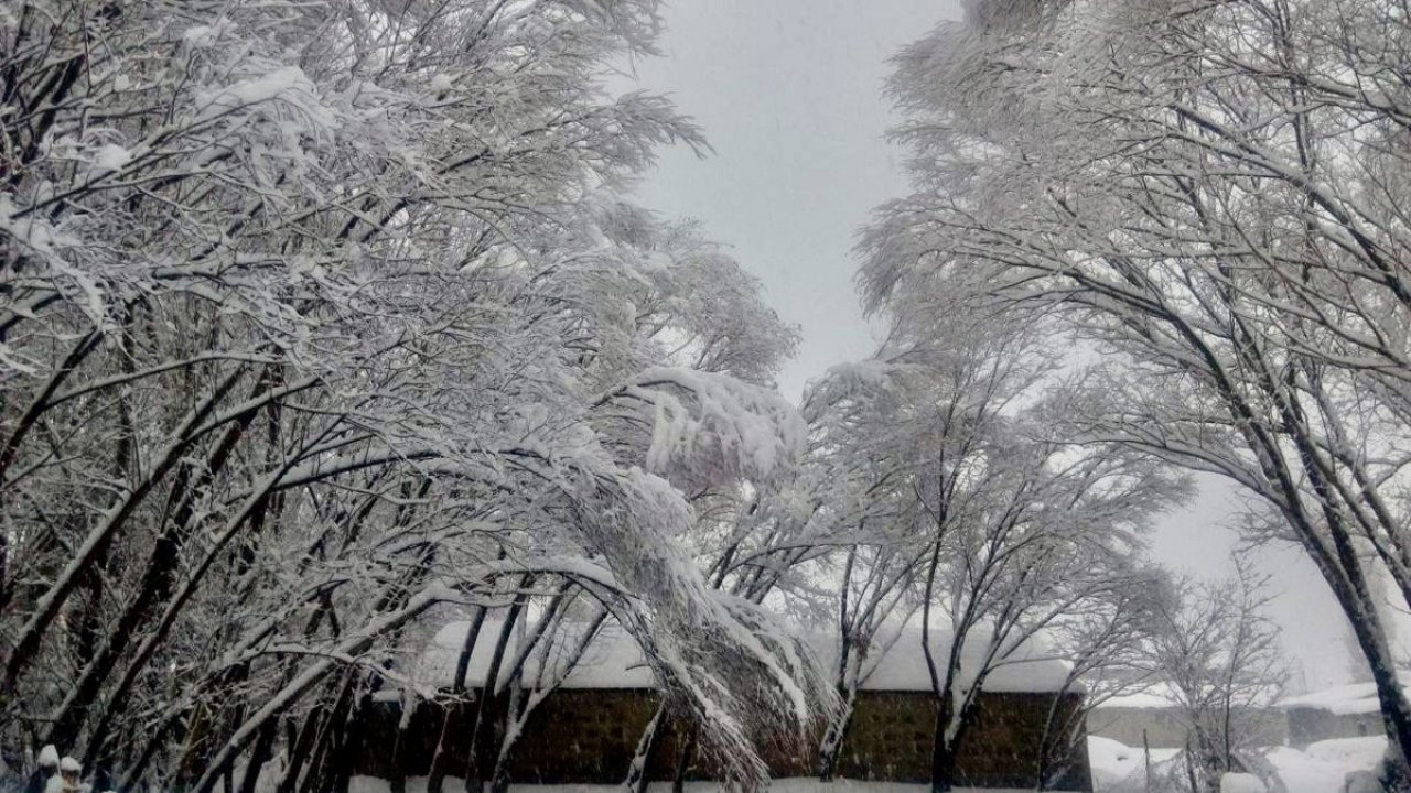 Ağrı buz tuttu. Araçlar battaniyeye sarıldı