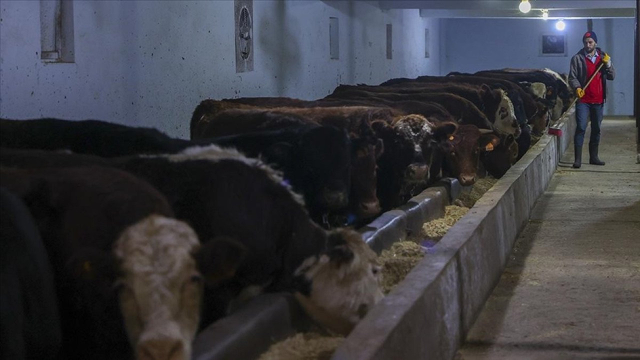 Malatya’da besici depremzedeler destek istiyor