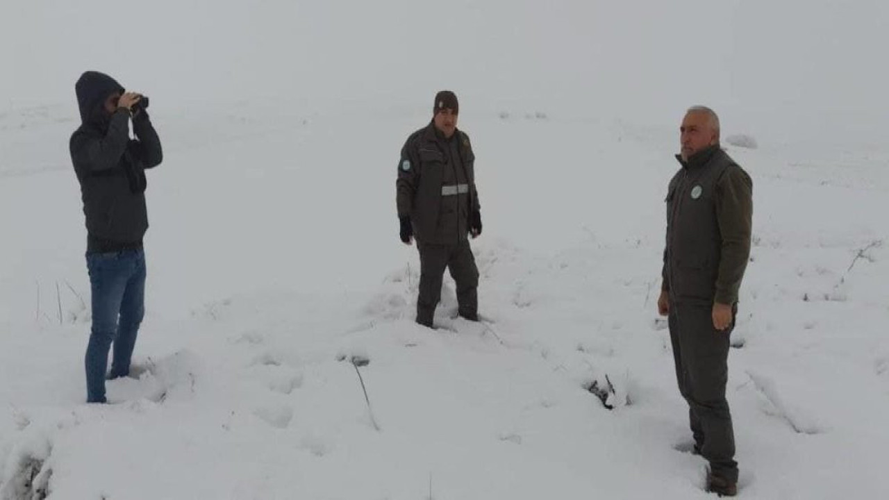 Yasa dışı avcılık yapan 2 kişiye ceza